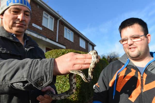 North East Reptile Rescue Joe Griffin with found snake in Nathan Walker's (R) bath