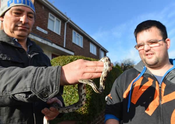 North East Reptile Rescue Joe Griffin with found snake in Nathan Walker's (R) bath