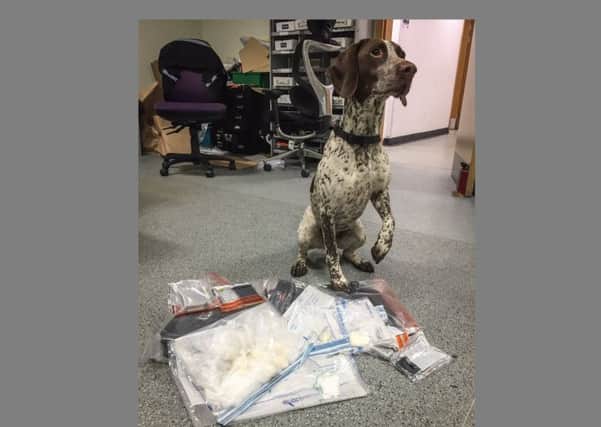 Police dog Lottie with the find.
