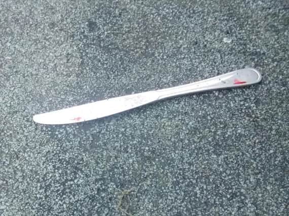 The bloodied kitchen knife found by RSPCA inspectors at the allotment.