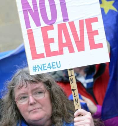 One of the protestors at the pro-EU demonstration.
