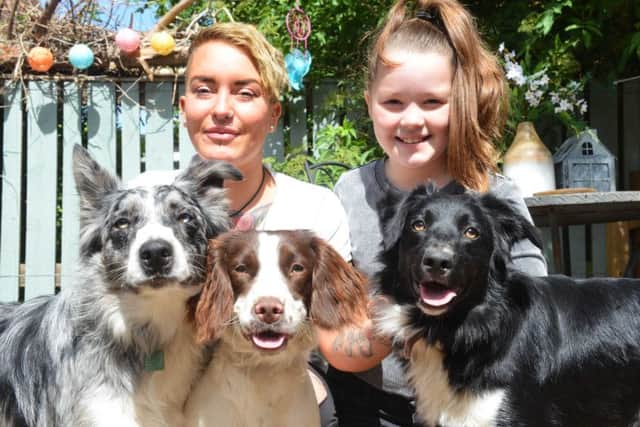 Bek Brown is hoping to raise funds to rescue a dog from Quatar. Pictured with daughter Heidi Norma, 9 and dogs from left Vinnie, Betty and Kitty