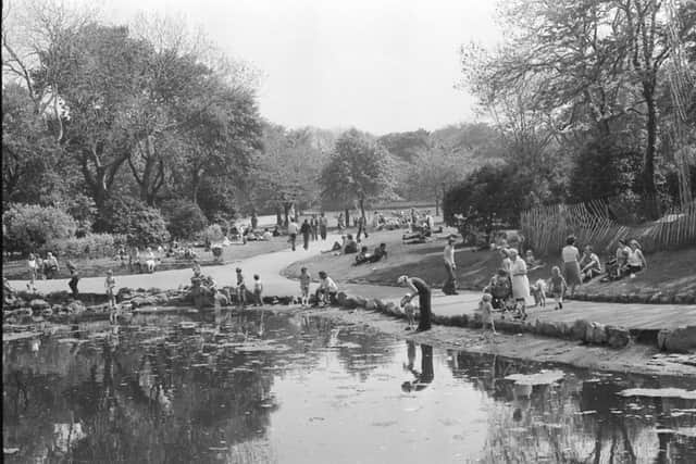 Mowbray Park in the 1970s.