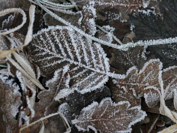 Forecasters say we could be in for the first frost of the season overnight.