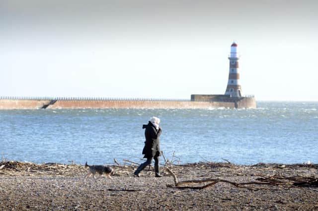 Sunderland's coastline will be covered by the cash.