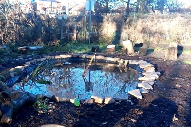 The pond after the clear up.