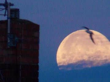Even urban settings can produce interesting supermoon pictures. Here's one of a previous event taken by reader Rob Irving.