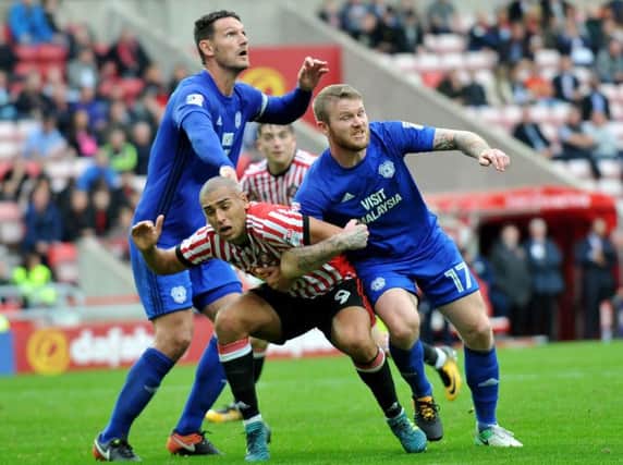 James Vaughan in action for Sunderland against Cardiff City at the Stadium of Light.