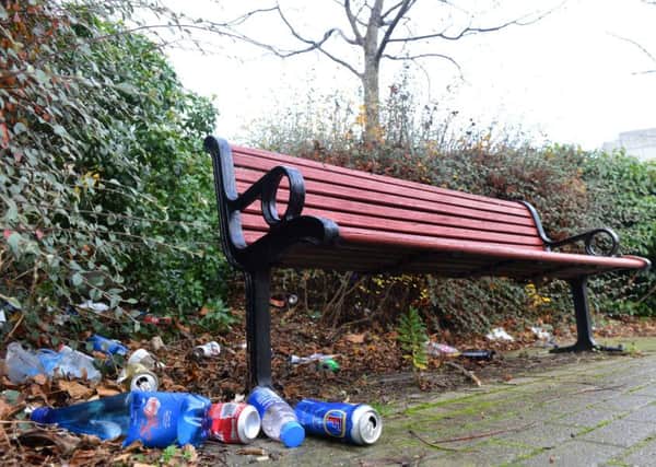 Sunderland City Centre litter, Silksworth Row park