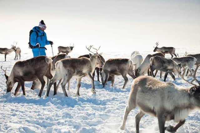 A trip to see reindeer had also been planned.