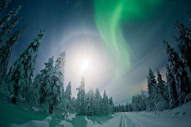 The Christmas wonderland of Finland.