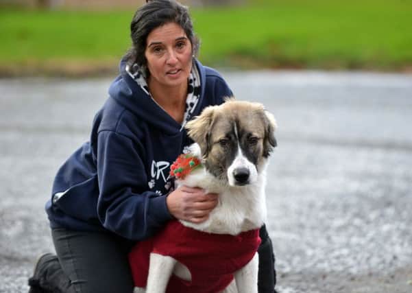 Christina Votter and dog Bonnie were rescued after falling into a frozen pond at James Steel Park.