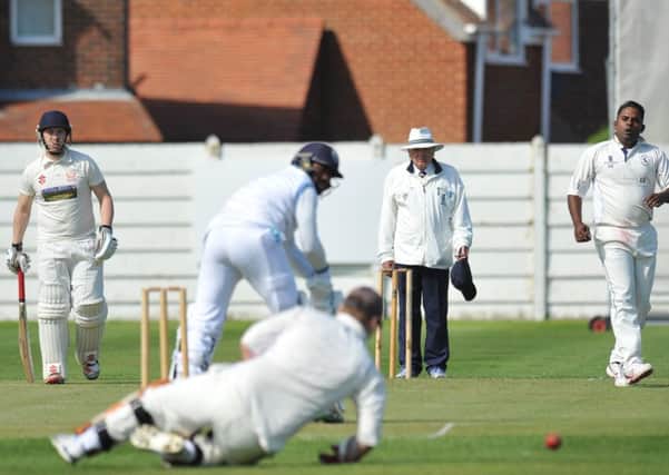 New cricket umpires are needed for local games.