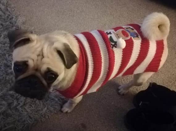Doesn't Holly look great in her festive jumper?