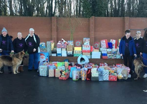 Happier Days For Strays volunteers with the shoe boxes collected for the appeal.