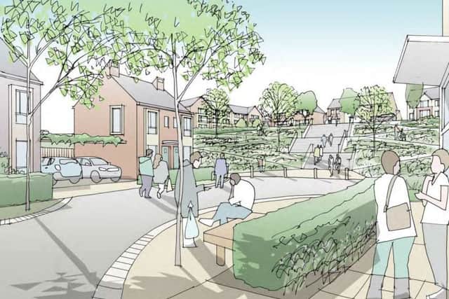 A look at the green space which will be included in the new estate in Pallion, should plans be approved.