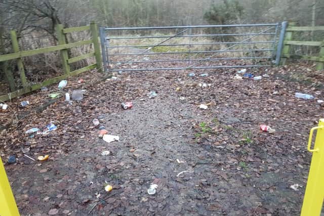 Cans and bottles left on a country path in North Hylton, Sunderland.