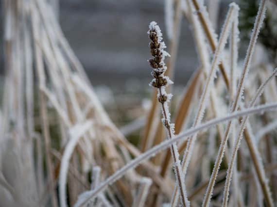 Icy weather is expected to continue in the North East.