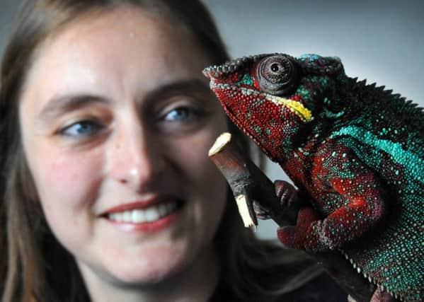 Helen Glenwright with her chameleon