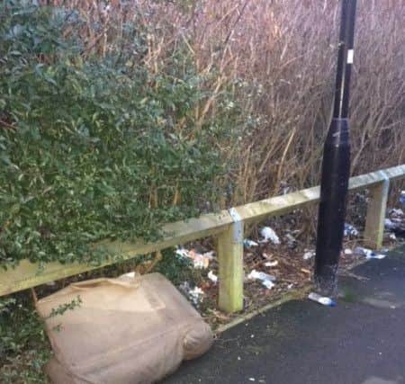 Rubbish left in the Wearhead Drive area of Eden Vale in Sunderland.