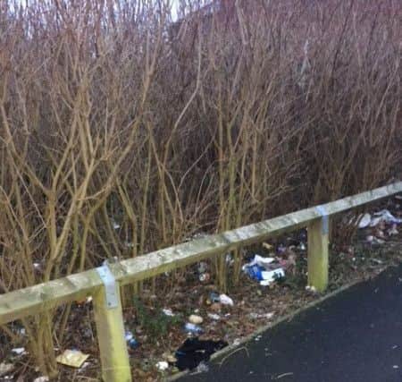 Rubbish left in the Wearhead Drive area of Eden Vale in Sunderland.