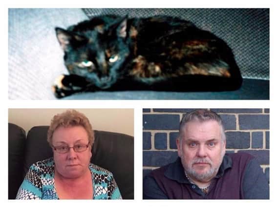 Clockwise from top, Sophie the cat, cat killer Thomas Hogarth and pet owner Aileen Holmes.