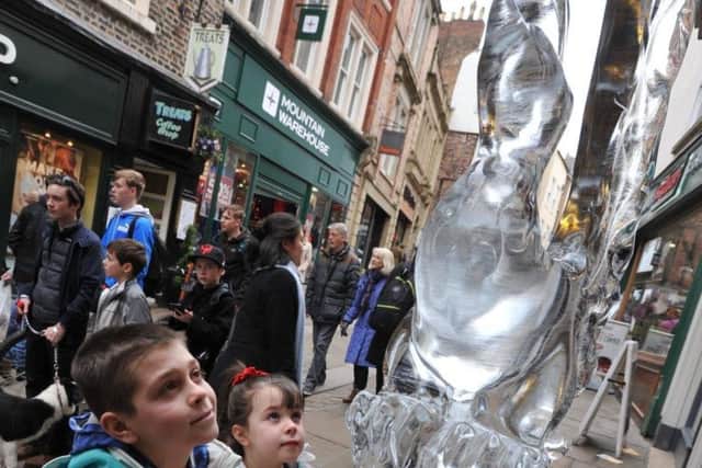 Kian and Kharis Fairest looking at the Phoenix at Durham's Fire and Ice Festival last year