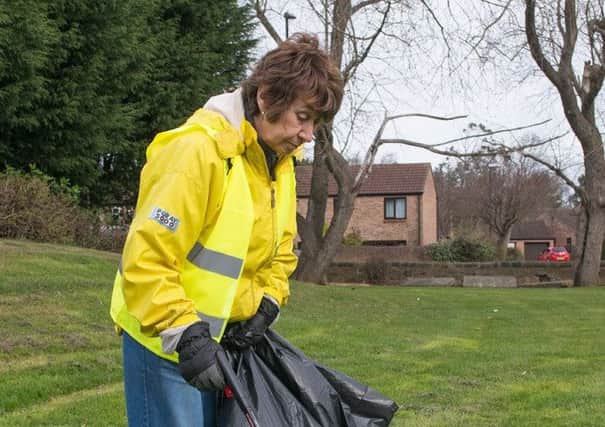Carol Attewell has been nominated for a Best of Wearside Green Champion Award.