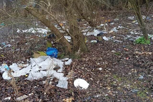 Rubbish left at Deptford near the River Wear in Sunderland.