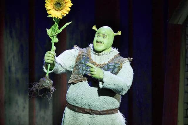Steffan Harri as Shrek. Picture: Helen Maybanks.