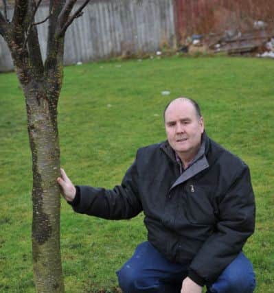 Martin Kane is devastated that a plaque at his daughter Laura's memorial tree has gone missing,