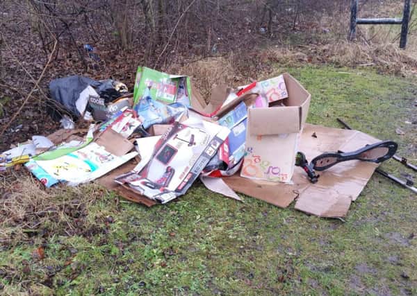 Rubbish left in the Children's Forest in the Pennywell area of Sunderland in February 2018.
