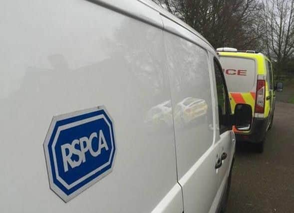The RSPCA is investigating the incident.
