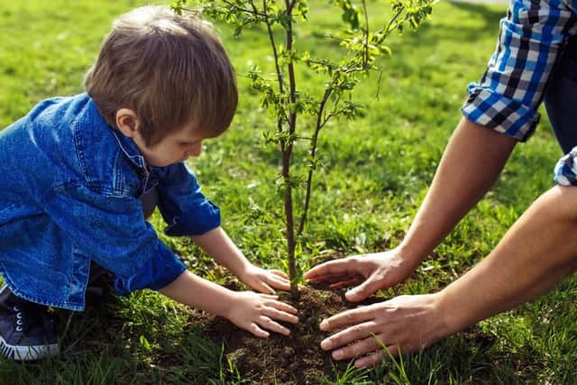 This February half term, every child who visits The Alnwick Garden will be given their own sapling to plant in the stunning Woodland Walk.