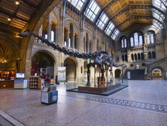 Dippy the Diplodocus, who will be heading to the North East as part of a UK tour. Picture c/o the Natural History Museum