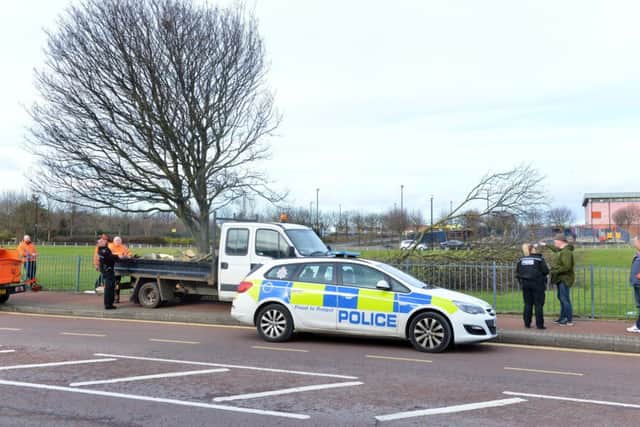 Police attend the scene of a tree cutting protest off Dykelands Road.