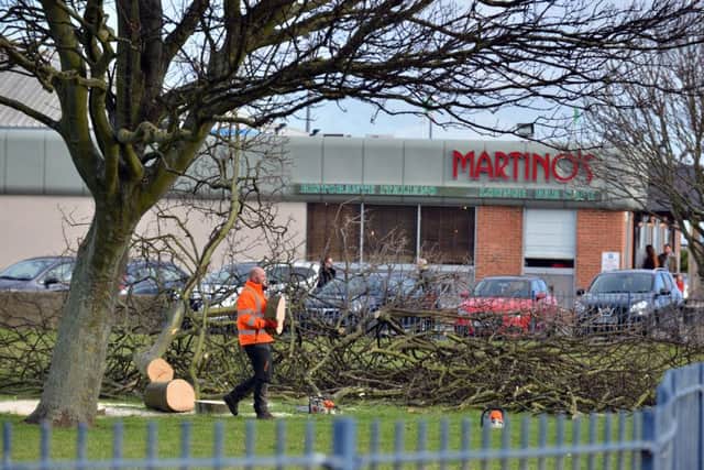Workers cut trees on grass off Dykelands Road.