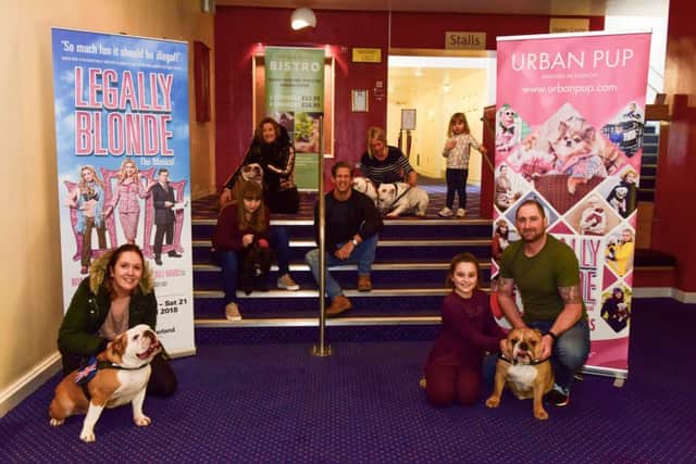 Dog auditions at the Sunderland Empire for Legally Blonde with David Barrett, centre, who plays Emmett
