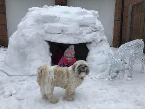 Camille Stokes and Bailey the Shih Tzu and her finished igloo.