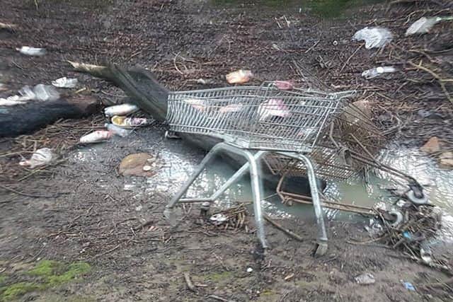 Rubbish left in Tunstall Woods in Sunderland. Picture by Norman Christie.
