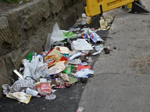 Sunderland Council is proposing that the fine for dropping litter is doubled from 75 to 150.