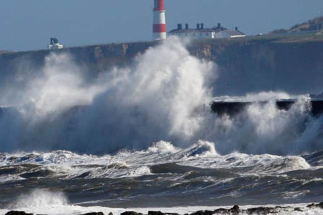 The wood fell from the ship off the coast of Souter Lighthouse during stormy conditions.