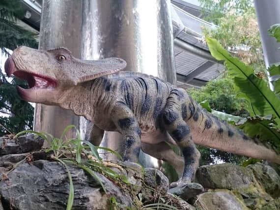 Dinosaurs are one the loose at Sunderland Museum and Winter Gardens this easter