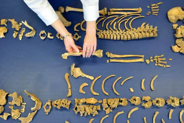 Scientists at Durham University pieced together the story of the Scottish soldiers by examining remains found in Durham in 2013.
