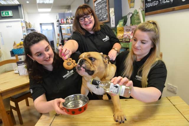 Doggie Diner Sunderland give Sunderland Empire Legally Blonde show local dog star Frankie a pampering.
From left Abbie Gibson, owner Gill Gibson and Stephanie Robinson