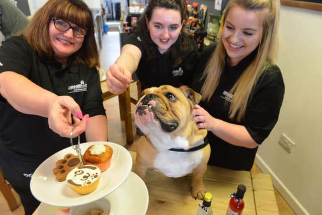 Doggie Diner Sunderland give Sunderland Empire Legally Blonde show local dog star Frankie a pampering.
From left owner Gill Gibson, Abbie Gibson and Stephanie Robinson