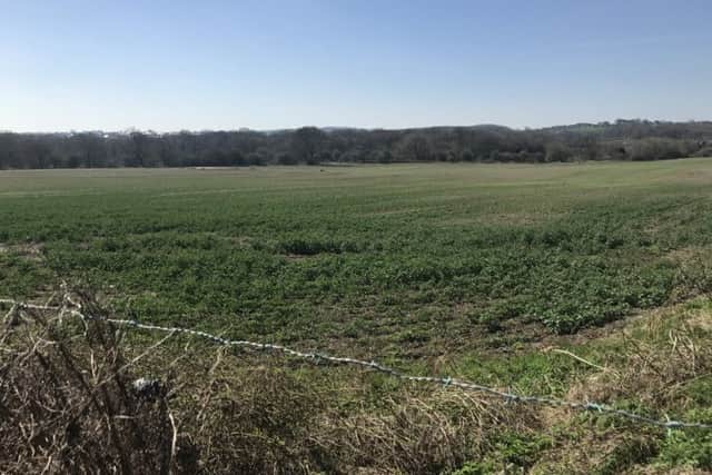 Land off the A182 at Houghton on which planners hope to get permission to buld 214 new homes.