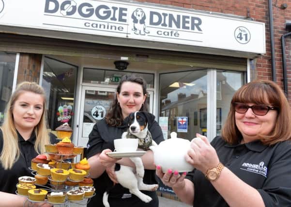 Doggie Diner Sunderland to host a social isolation open day.
From left Stephanie Robinson, Abbie Gibson and owner Gill Gibson