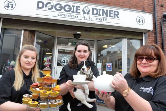 Doggie Diner Sunderland has held a social isolation open day.
From left Stephanie Robinson, Abbie Gibson and owner Gill Gibson.