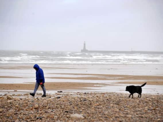 A man walking his dog on Sunderland sea front. There is no suggestion the walker was allowing the dog to make a mess.
